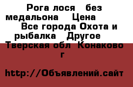 Рога лося , без медальона. › Цена ­ 15 000 - Все города Охота и рыбалка » Другое   . Тверская обл.,Конаково г.